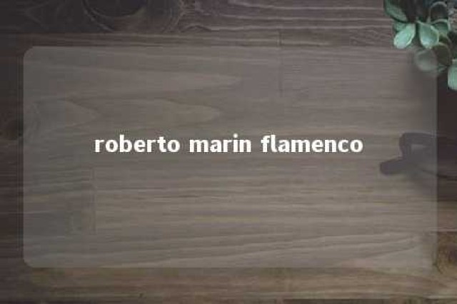 roberto marin flamenco 