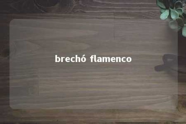 brechó flamenco 