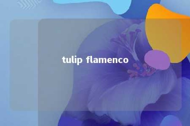 tulip flamenco 