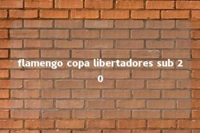 flamengo copa libertadores sub 20 