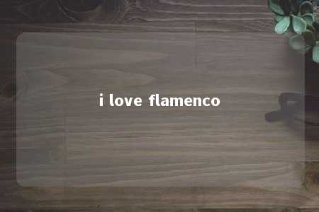 i love flamenco 