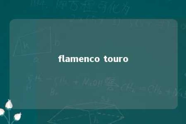 flamenco touro 