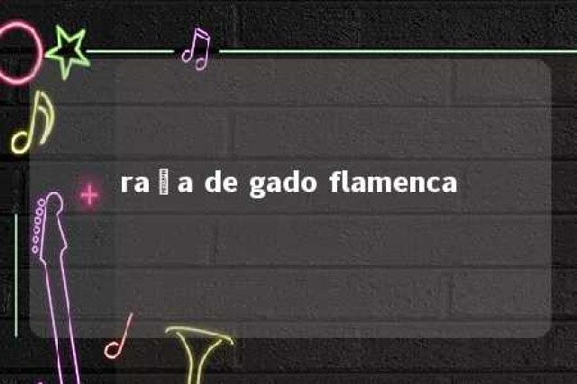 raça de gado flamenca 