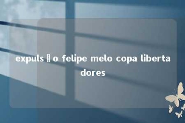 expulsão felipe melo copa libertadores 