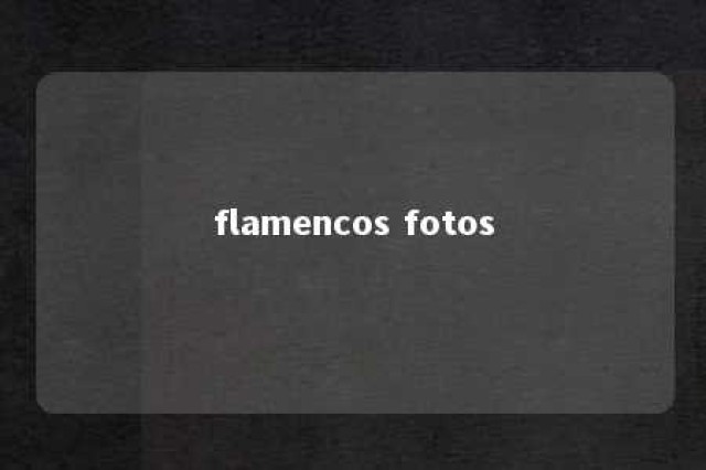 flamencos fotos 