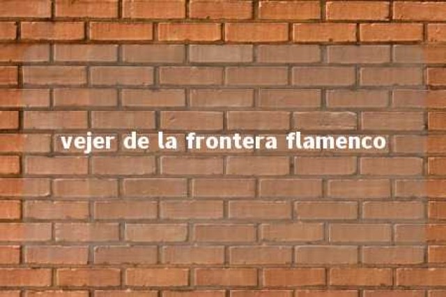 vejer de la frontera flamenco 