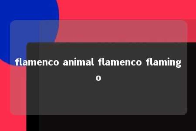 flamenco animal flamenco flamingo 