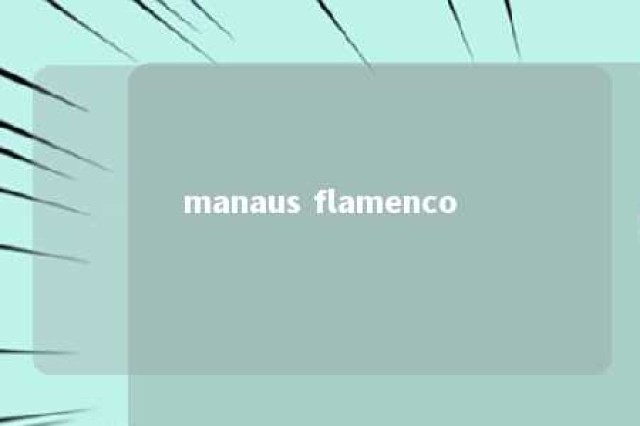 manaus flamenco 