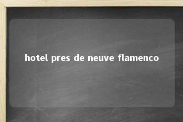 hotel pres de neuve flamenco 