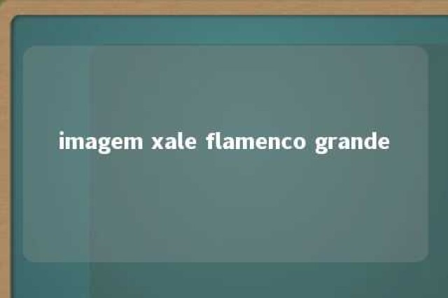 imagem xale flamenco grande 