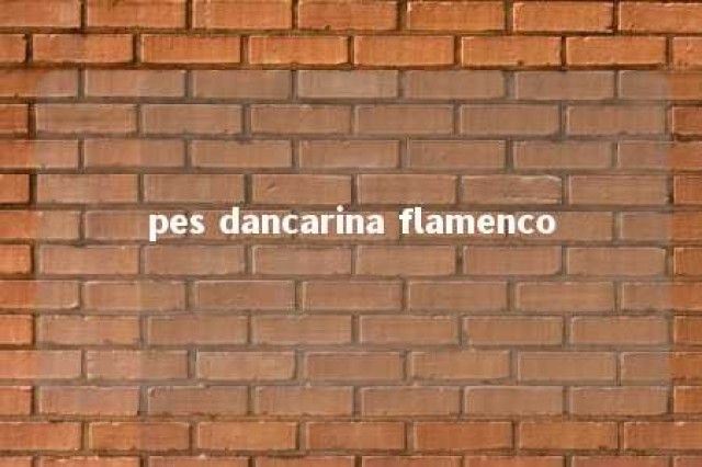 pes dancarina flamenco 