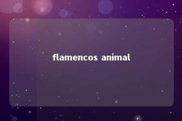 flamencos animal 