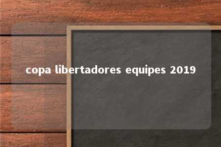 copa libertadores equipes 2019