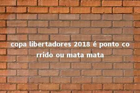 copa libertadores 2018 é ponto corrido ou mata mata