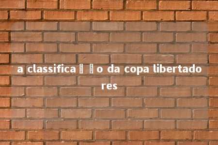 a classificação da copa libertadores