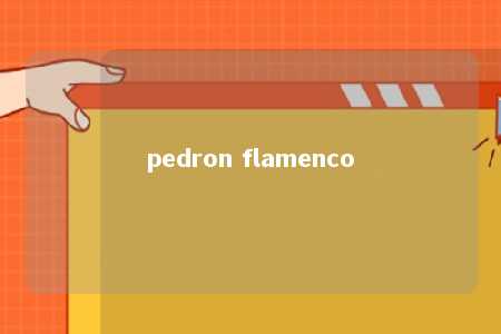 pedron flamenco