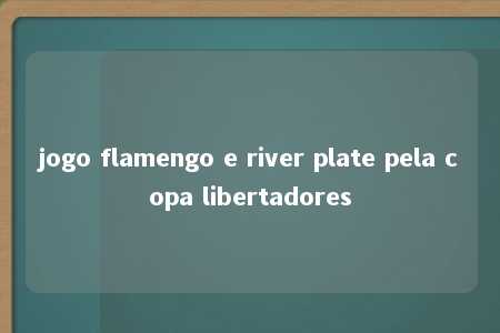 jogo flamengo e river plate pela copa libertadores