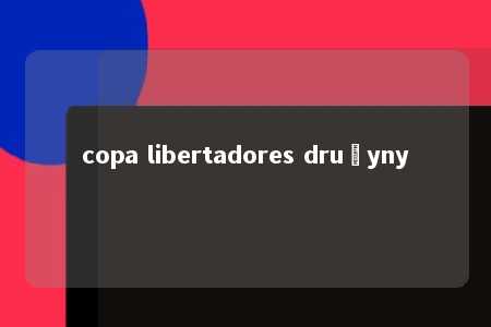 copa libertadores drużyny