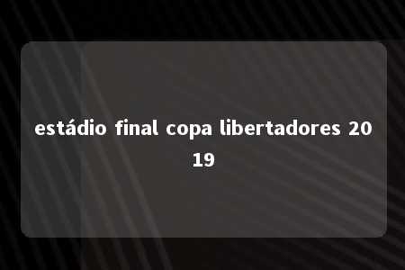 estádio final copa libertadores 2019