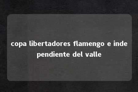 copa libertadores flamengo e independiente del valle