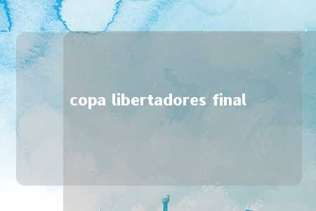 copa libertadores final