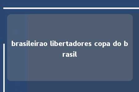 brasileirao libertadores copa do brasil