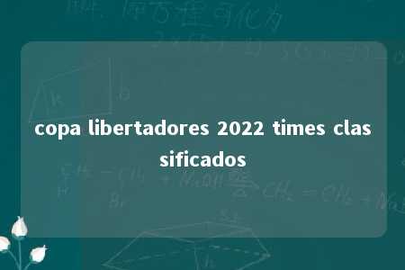 copa libertadores 2022 times classificados