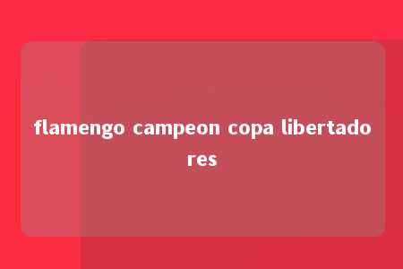 flamengo campeon copa libertadores