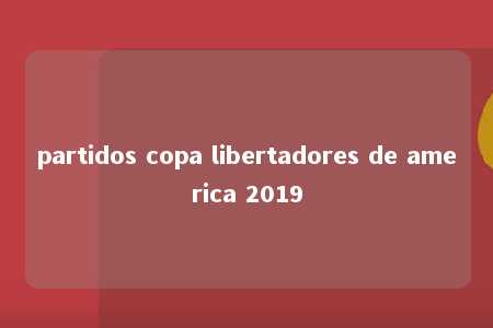 partidos copa libertadores de america 2019