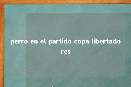 perro en el partido copa libertadores