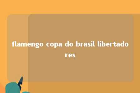 flamengo copa do brasil libertadores