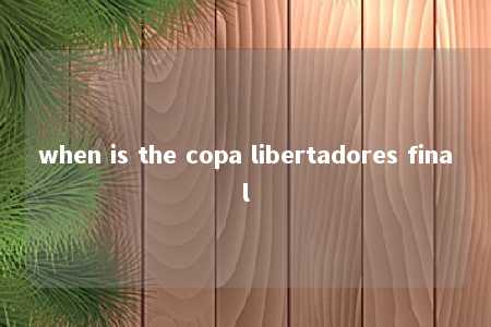 when is the copa libertadores final