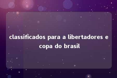 classificados para a libertadores e copa do brasil