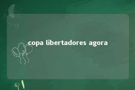 copa libertadores agora