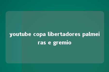 youtube copa libertadores palmeiras e gremio