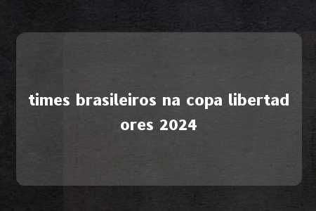 times brasileiros na copa libertadores 2024