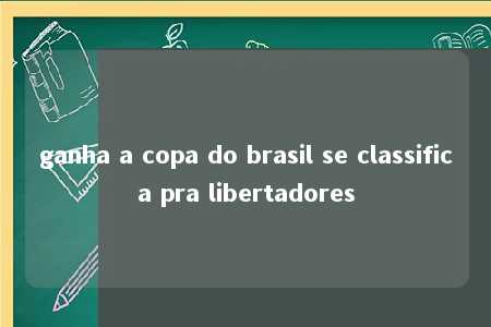 ganha a copa do brasil se classifica pra libertadores