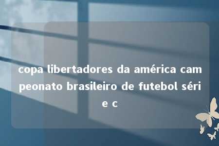 copa libertadores da américa campeonato brasileiro de futebol série c