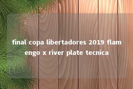 final copa libertadores 2019 flamengo x river plate tecnica