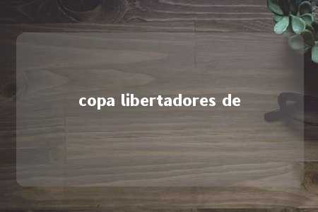 copa libertadores de