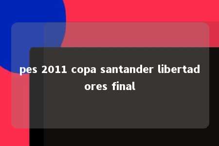 pes 2011 copa santander libertadores final