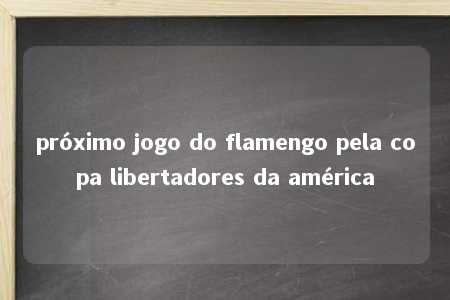 próximo jogo do flamengo pela copa libertadores da américa