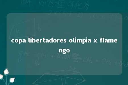 copa libertadores olimpia x flamengo