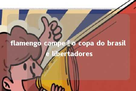 flamengo campeão copa do brasil e libertadores