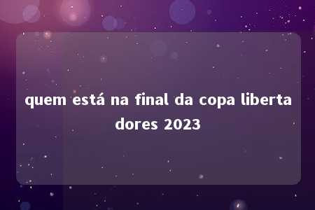 quem está na final da copa libertadores 2023