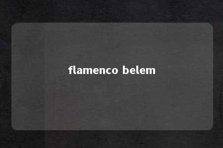 flamenco belem