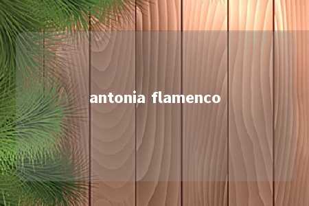 antonia flamenco