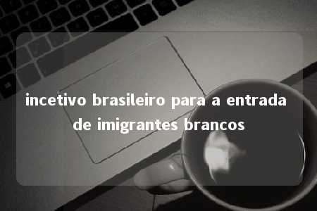 incetivo brasileiro para a entrada de imigrantes brancos