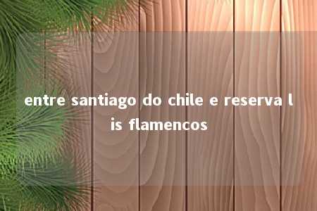 entre santiago do chile e reserva lis flamencos