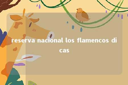 reserva nacional los flamencos dicas